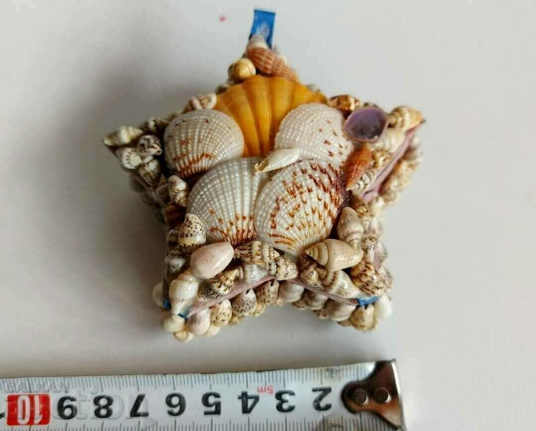 Auction . SOUVENIR DECORATION SHELLS JEWELRY BOX Auction . SOUVENIR DECORATION SHELLS JEWELRY BOX