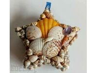 . SOUVENIR DECORATION SHELLS JEWELRY BOX