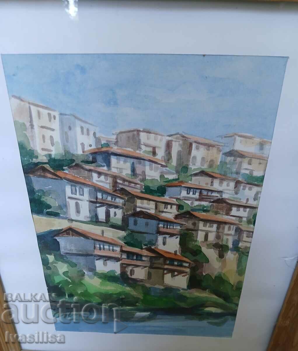 Delivery of PICTURE city TARNOVO - author's