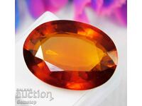 BZC! 50.25th safir natural oval cert.VGTL de la 1!