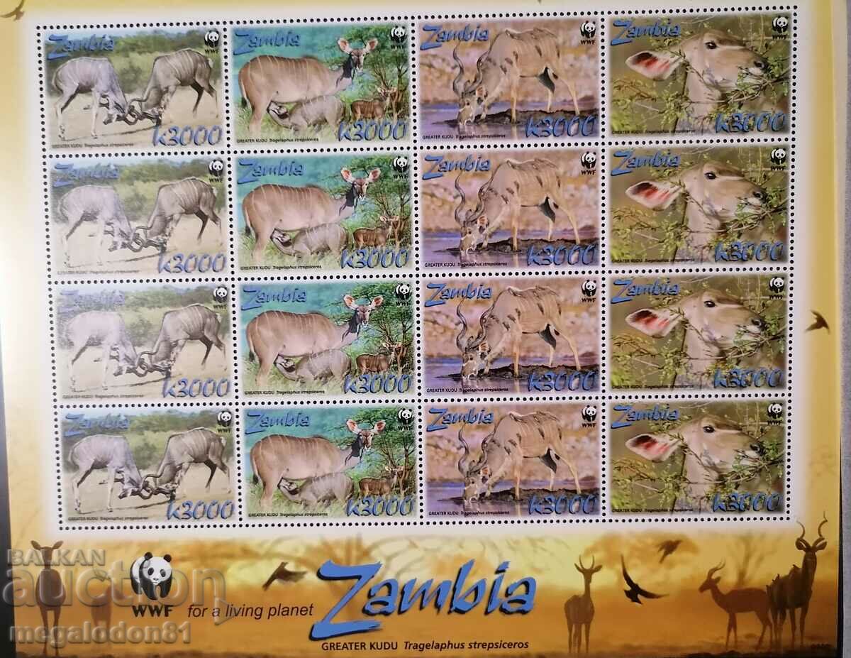 Zambia - fauna WWF, antilopa Kudu