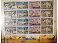 Zambia - fauna WWF, antilopa Kudu