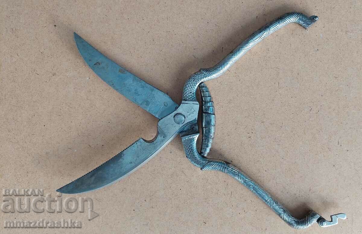 Interesting large scissors D.R.G.M