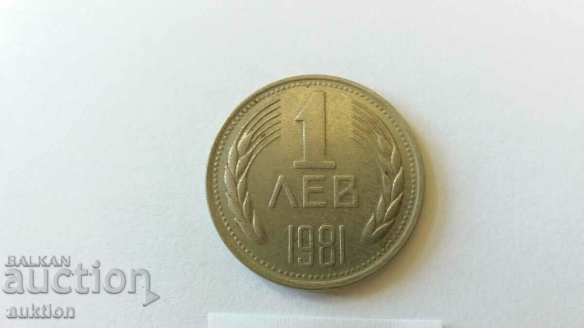 1 LEV 1981