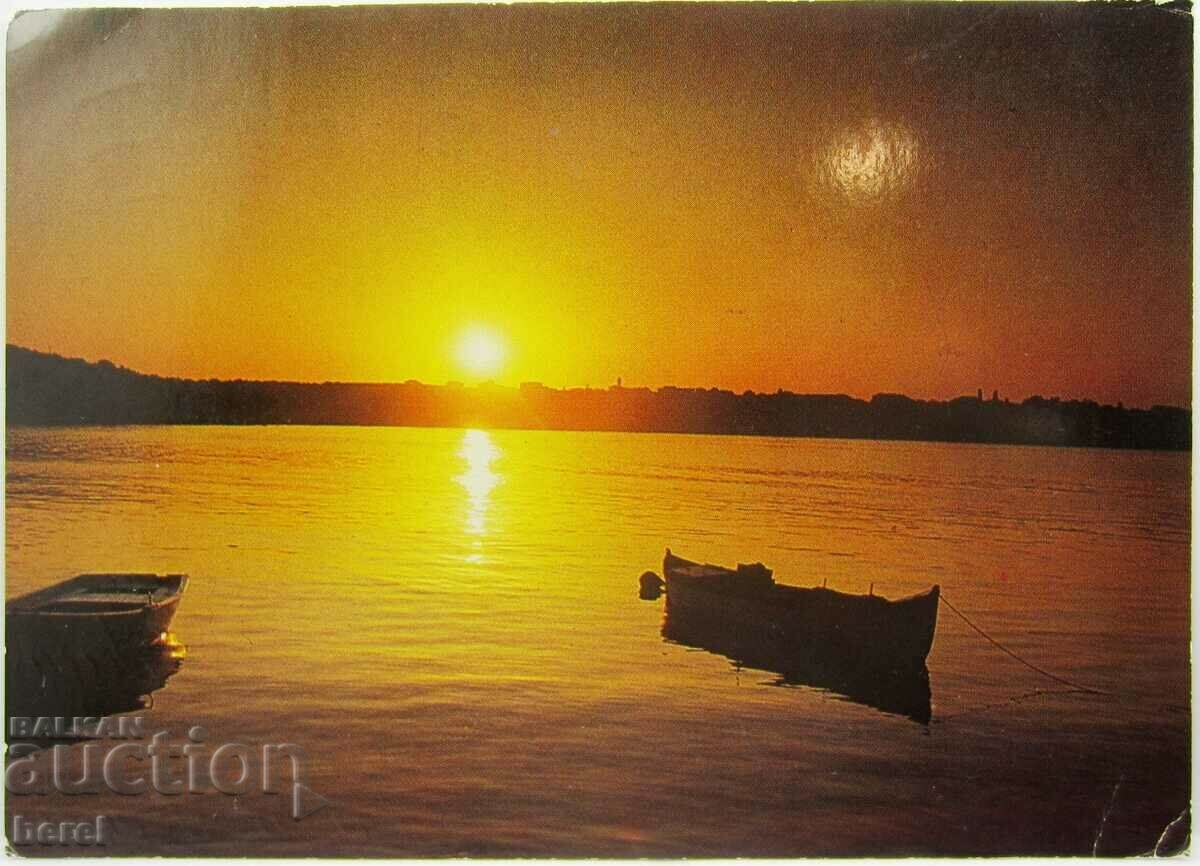 Auction OLD PK-ZALEZ END MICHURIN-ARAPYA Auction OLD PK-ZALEZ END MICHURIN-ARAPYA