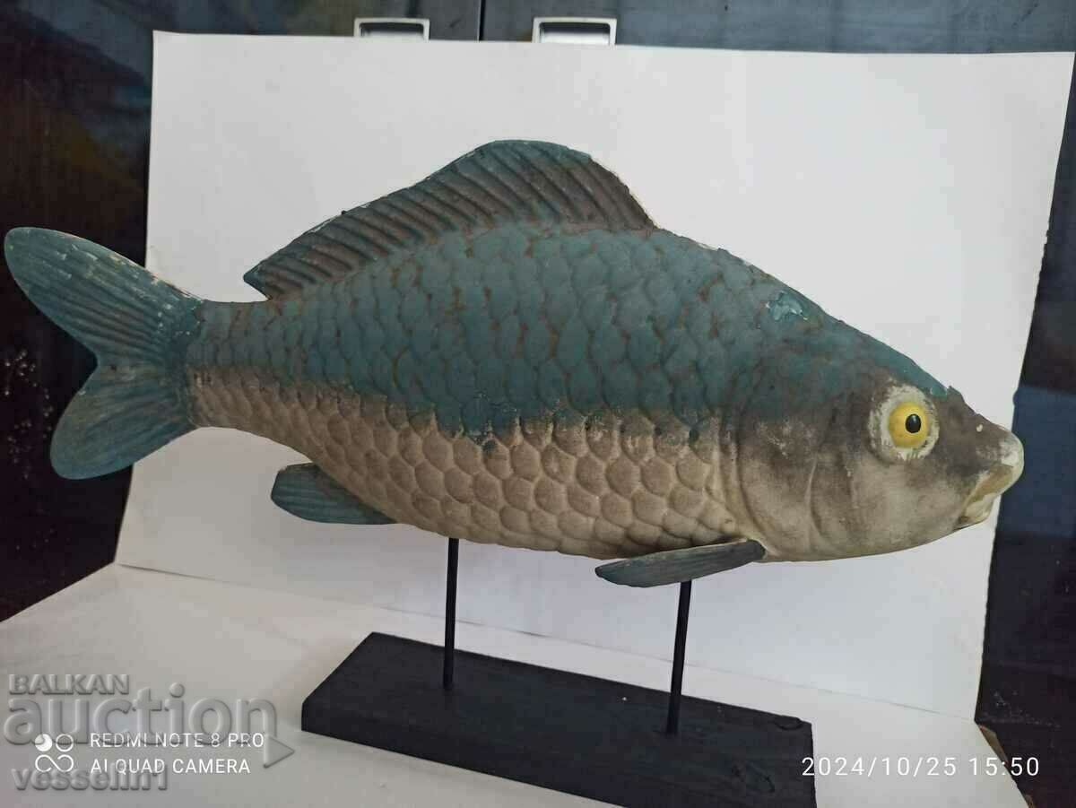 Model device of a large fish. Three-dimensional model of carp. 60/20s