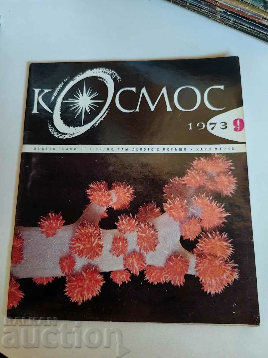 domeniu 1973 SOC JOURNAL KOSMOS