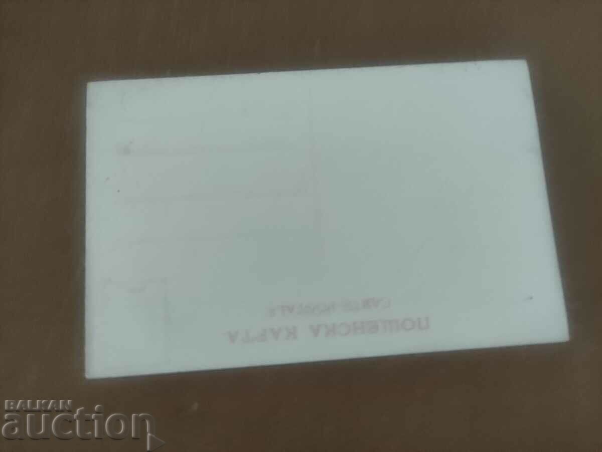 3000 year old tree in Ohrid with price 150.00 BGN | € 76.69