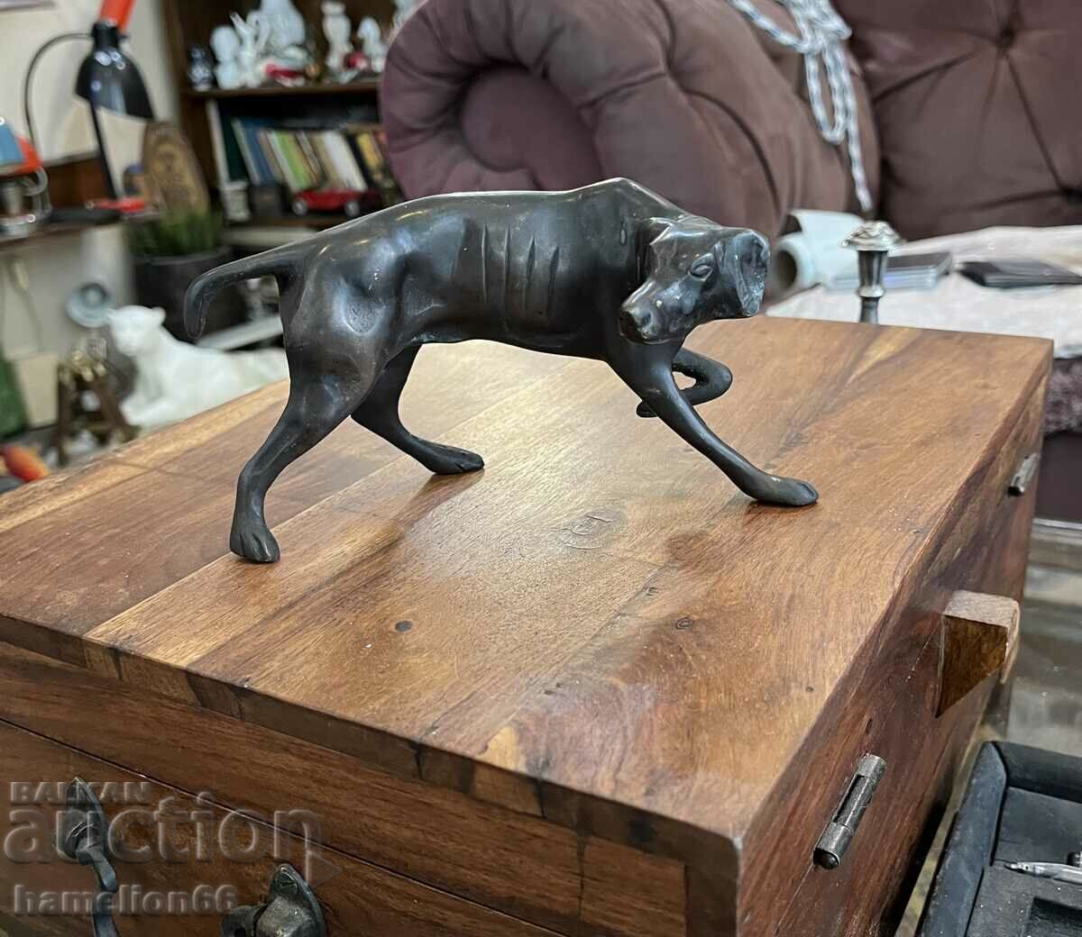 Sculptură veche din bronz, câine, Weimariner, patină - 6