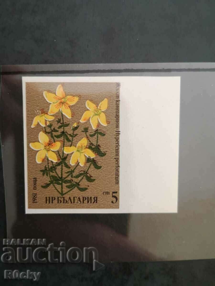 1966 St. John's wort imperforate to right