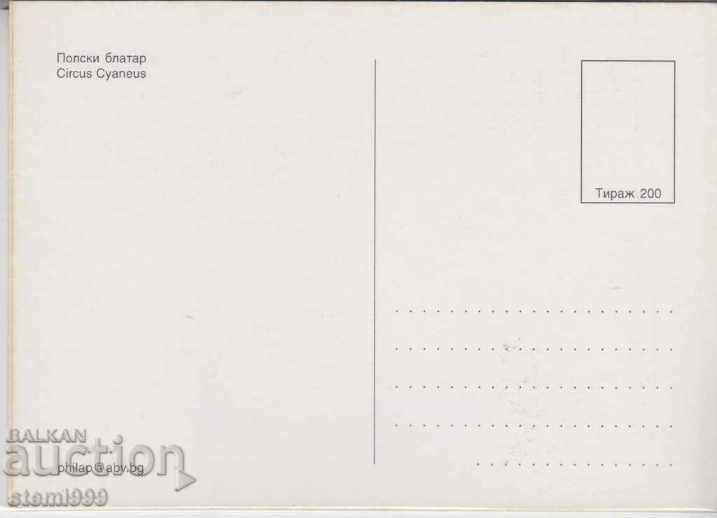 Postal maximum card FDC Birds with price 2.20 BGN | € 1.12 Postal maximum card FDC Birds with price 2.20 BGN | € 1.12