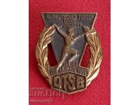 Badge. DTSB