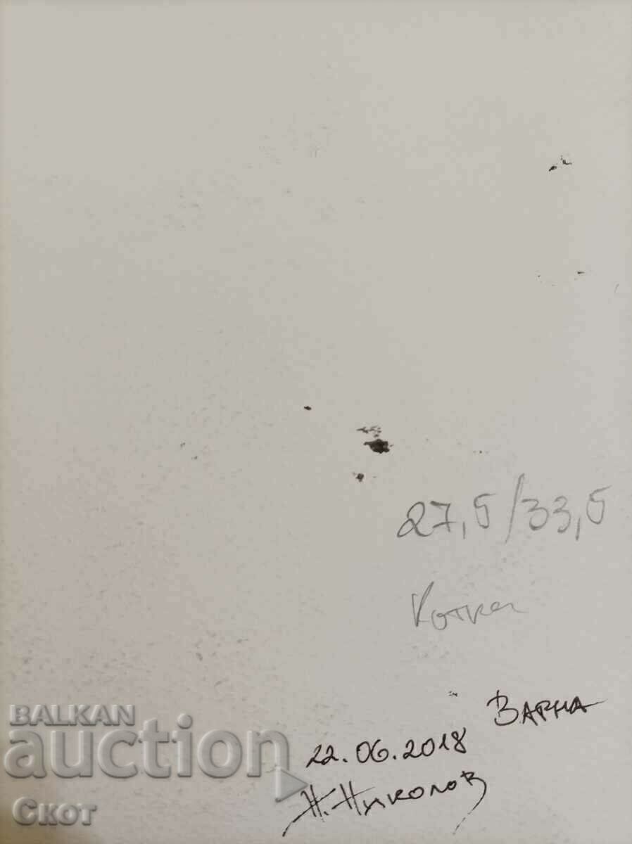 Desen cu cerneală cu preț 39.00 BGN | € 19.94 Desen cu cerneală cu preț 39.00 BGN | € 19.94