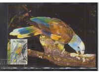 Postal max card FDC PARROTS Birds WWF