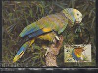 Postal max card FDC PARROTS Birds WWF