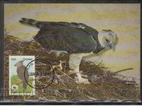 Postal Max Card FDC Birds WWF