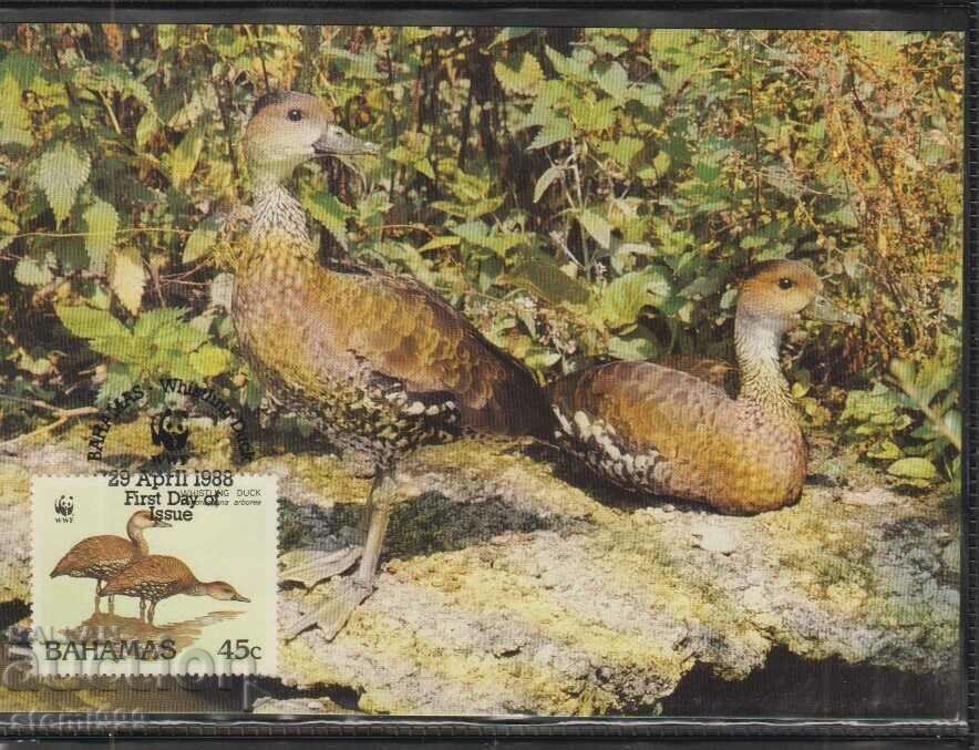 Postal Max Card FDC Birds WWF