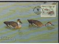 Postal Max Card FDC Birds WWF