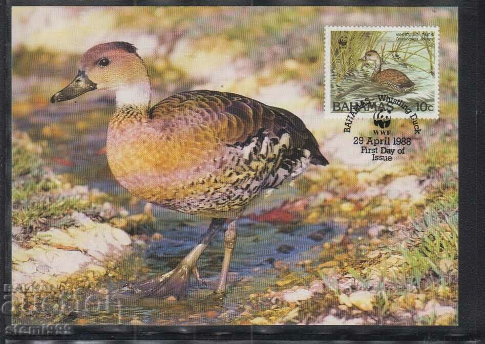 Postal Max Card FDC Birds WWF