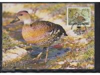 Postal Max Card FDC Birds WWF