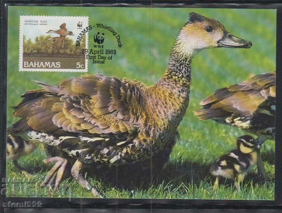 Postal Max Card FDC Birds WWF