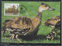 Postal Max Card FDC Birds WWF