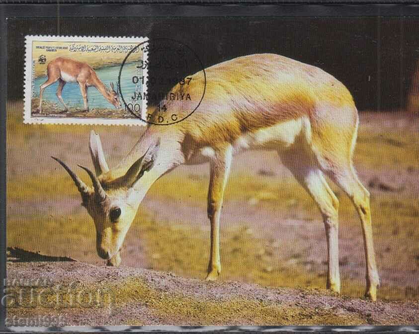 Postal max card FDC Antilope animale WWF