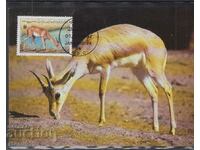 Ταχυδρομική κάρτα max FDC Antelopes animals WWF