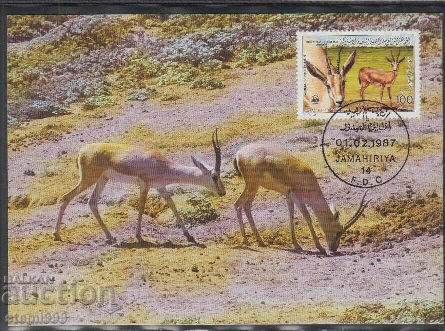 Postal max card FDC Antilope animale WWF