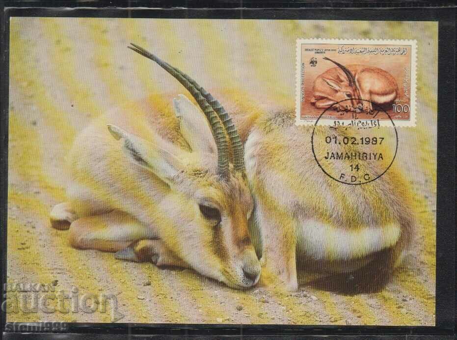 Postal max card FDC Antilope animale WWF