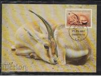 Ταχυδρομική κάρτα max FDC Antelopes animals WWF