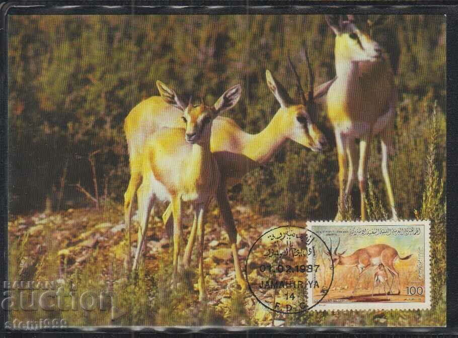 Ταχυδρομική κάρτα max FDC Antelopes animals WWF