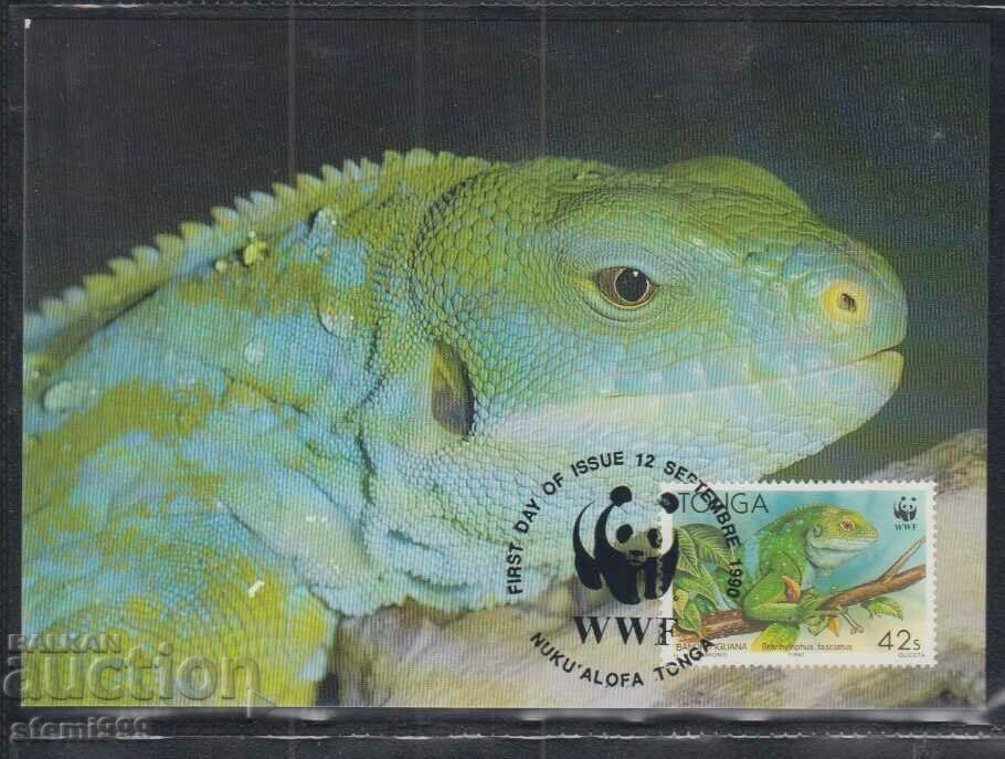 Postal Max Card FDC REPTILES LIZARDS WWF