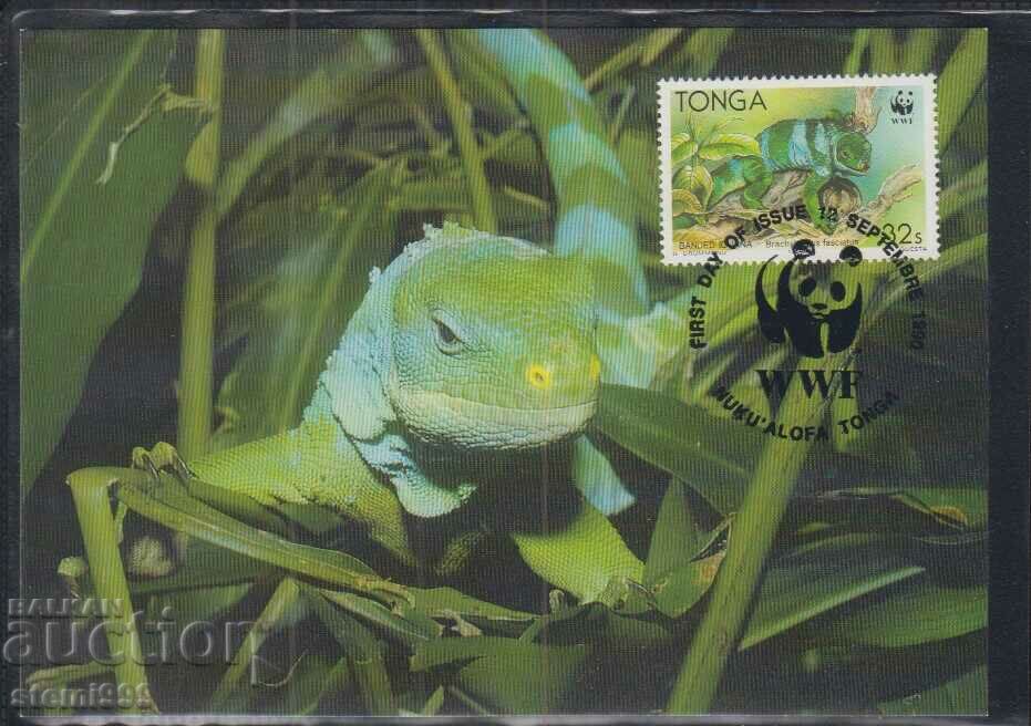 Postal Max Card FDC REPTILES LIZARDS WWF