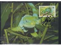 Postal Max Card FDC REPTILES SOPARLE WWF