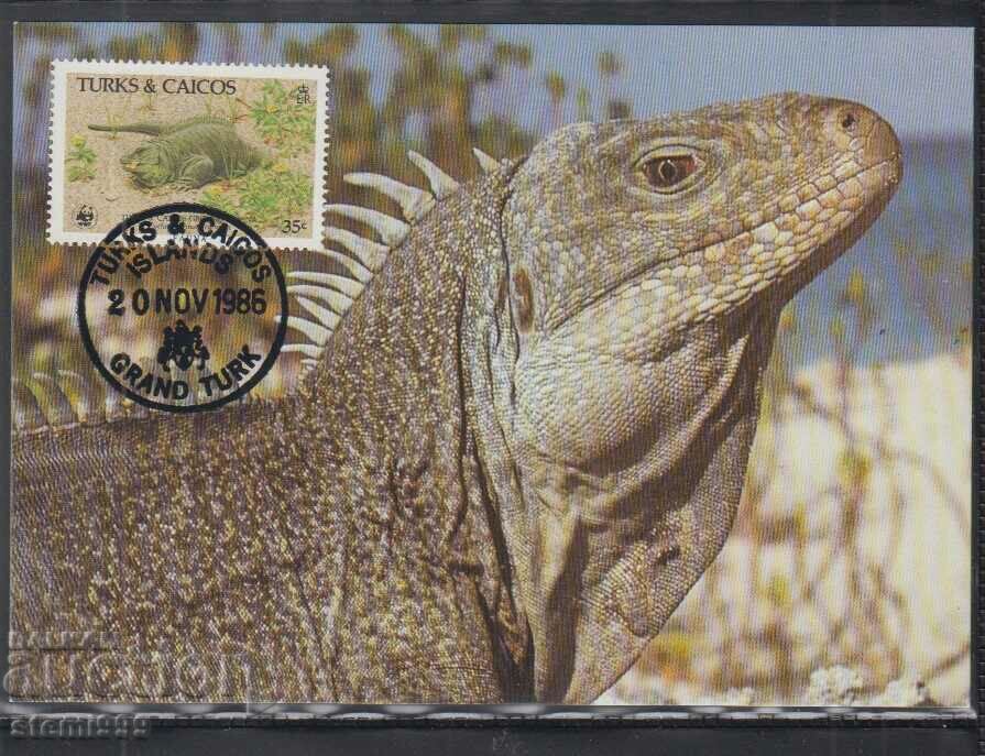 Poștal max card FDC REPTILES SOPARLE