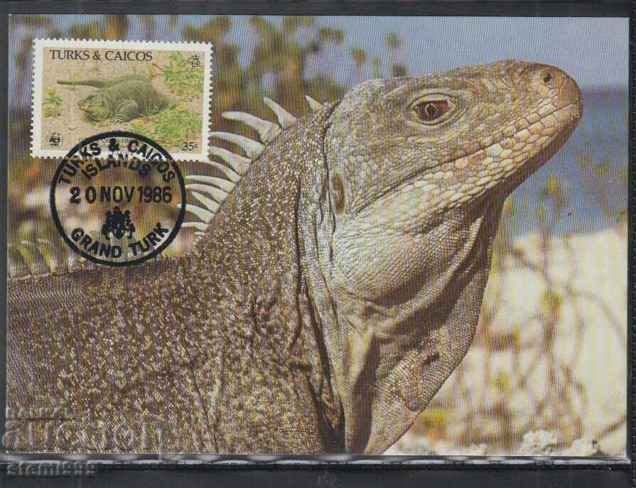 Postal max card FDC REPTILES LIZARDS