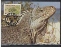 Postal max card FDC REPTILES LIZARDS