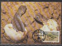 Postal max card FDC REPTILES LIZARDS