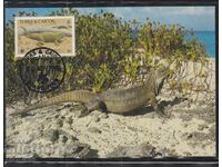 Postal max card FDC REPTILES LIZARDS