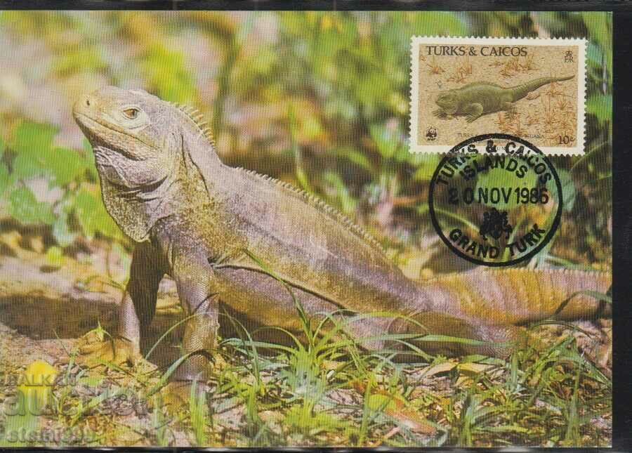 Ταχυδρομική κάρτα max FDC REPTILES LIZARDS