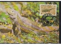 Postal max card FDC REPTILES LIZARDS