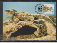 Postal max card FDC REPTILES LIZARDS