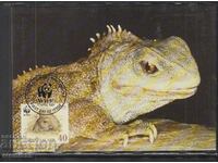 Postal Max Card FDC REPTILES SOPARLE WWF