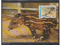 Postal max card FDC ANIMALS