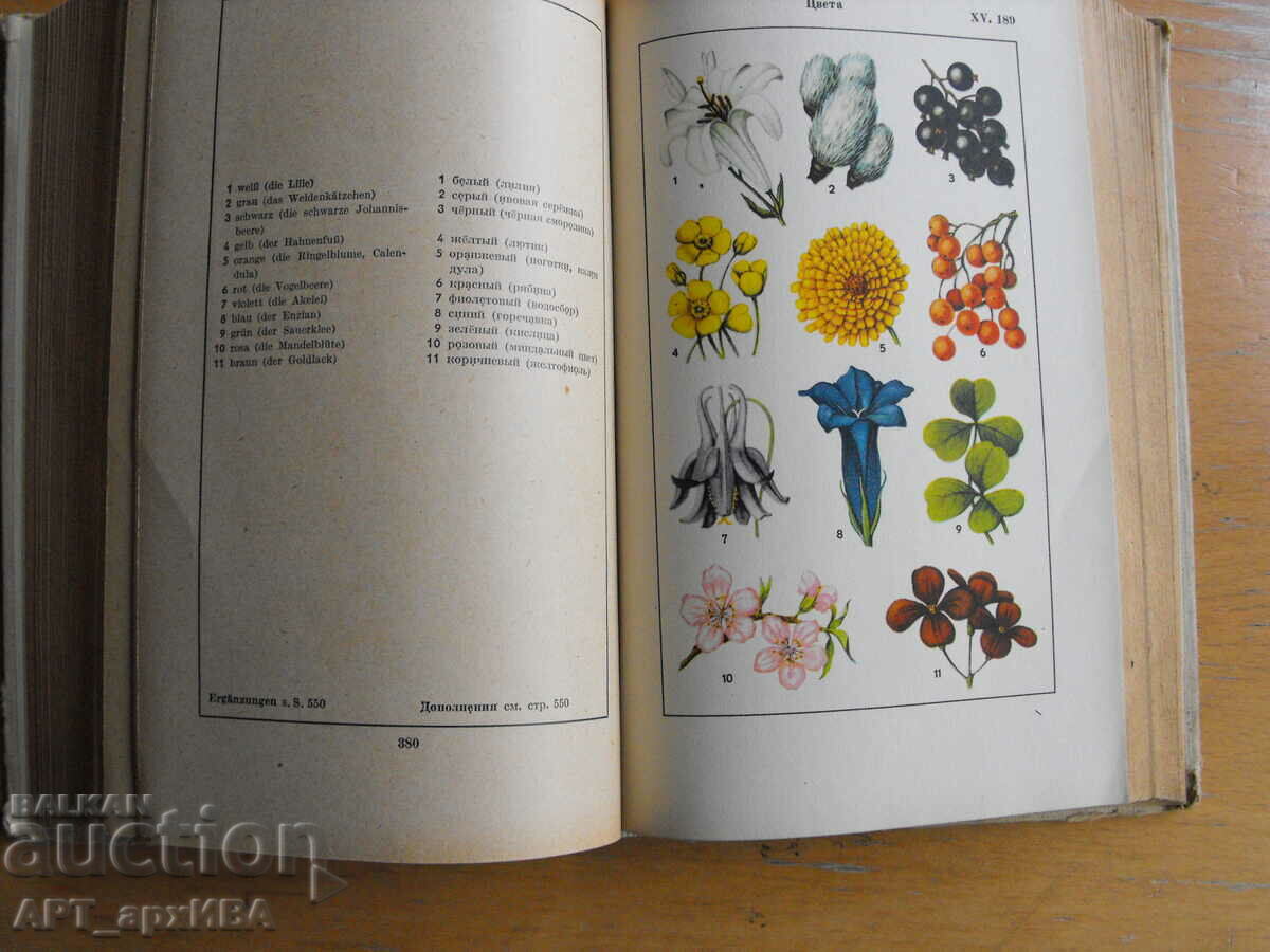 Delivery of Bildwӧrterbuch. Deutsch und Russisch. Picture dictionary. Delivery of Bildwӧrterbuch. Deutsch und Russisch. Picture dictionary.