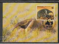 Postal max card FDC ANIMALS WWF