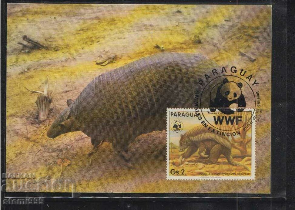 Card postal maxim FDC ANIMALS WWF