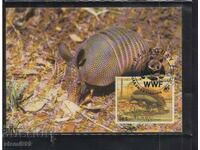 Card postal maxim FDC ANIMALS WWF