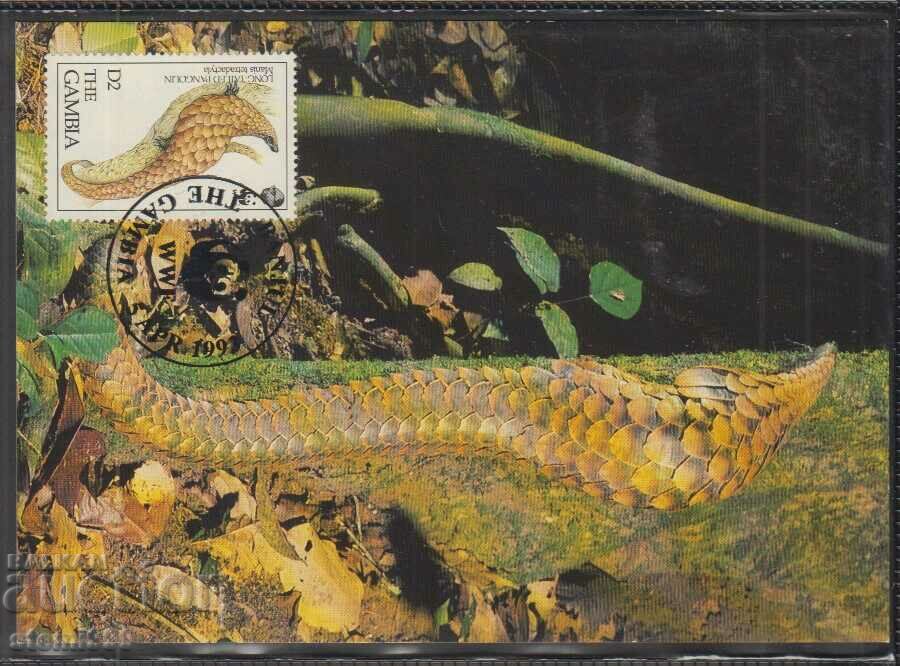 Card postal maxim FDC ANIMALS WWF